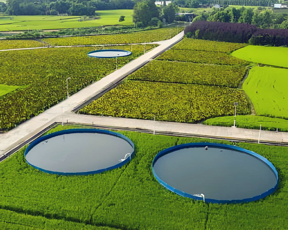 Agricultural Ecological Circular Fish Farming System