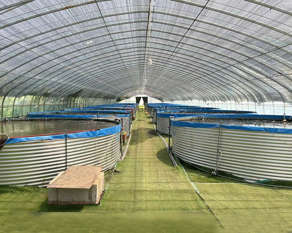 Round Corrugated Steel Fish Tank3