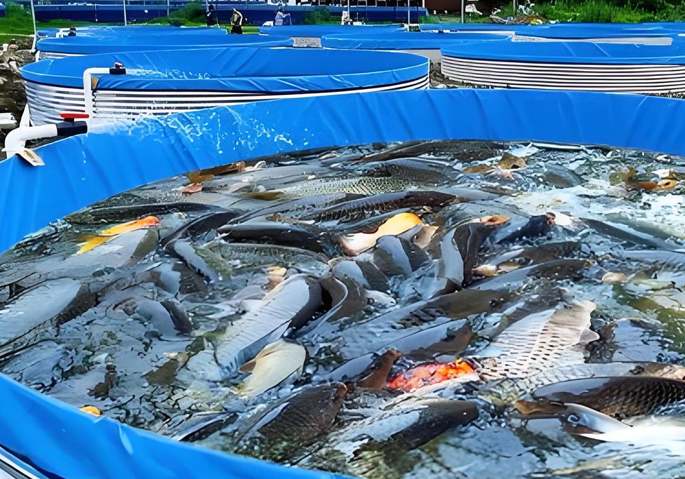 Features of Corrugated Steel Fish Farming Water Tank